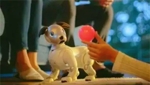 寵物芯片是什么？電子寵物能否成為精神寄托