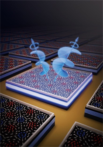 廈大團隊成功研制新型自旋固態光源芯片